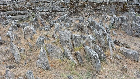 cstro &lpar;13&rpar;