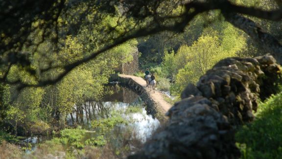 Pesquera sobre el Camaces