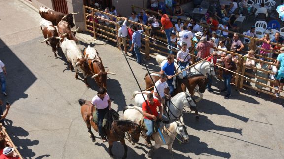 Los mansos volviendo al prado