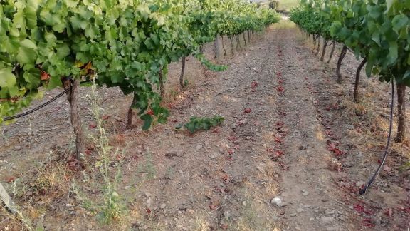 IMG&lowbar;20210811&lowbar;203647