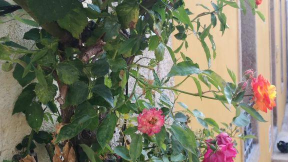 PHOTO-2022-02-22-18-53-07