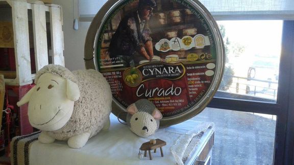 Queser&iacute;a Cynara - 46144258&lowbar;849561225432613&lowbar;4566275385041354752&lowbar;n