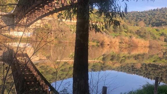 WhatsApp Image 2024-03-08 at 17&period;55&period;04