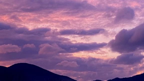 WhatsApp Image 2024-03-08 at 18&period;01&period;25